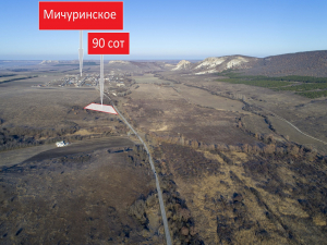 Сельхоз участок 90 соток с. Мичуринское